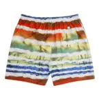 Badeshorts m. print (Mangefarvet) - Ed Baxter