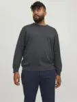 Modelfoto